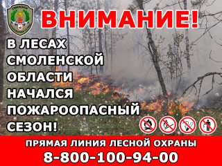 в лесах Смоленской области открыт пожароопасный сезон - фото - 2