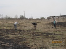 Береги природу и свой край - 31