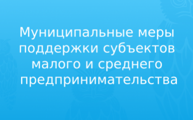 муниципальные меры поддержки субъектов малого и среднего предпринимательства - фото - 2