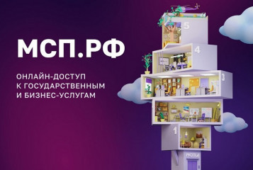 информационные материалы о цифровой платформе МСП - фото - 1